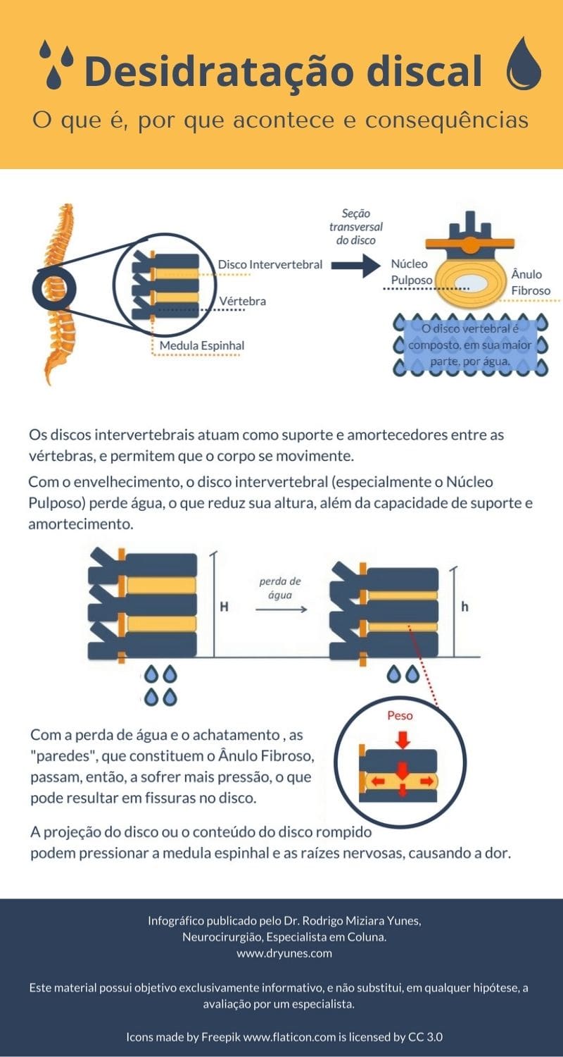 infográfico sobre desidratação discal